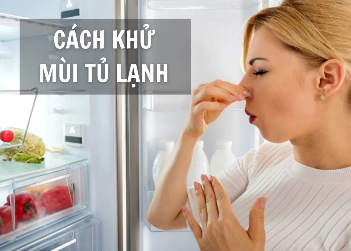 Tổng hợp các mẹo khử mùi hôi tủ lạnh hiệu quả nhất